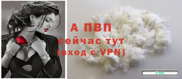 стаф Балахна