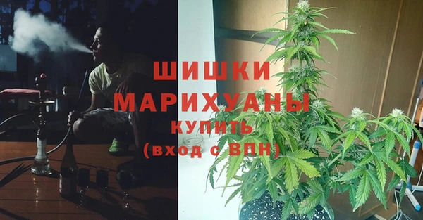 стаф Балахна